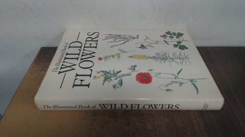 Illustrated Book of Wild Flowers