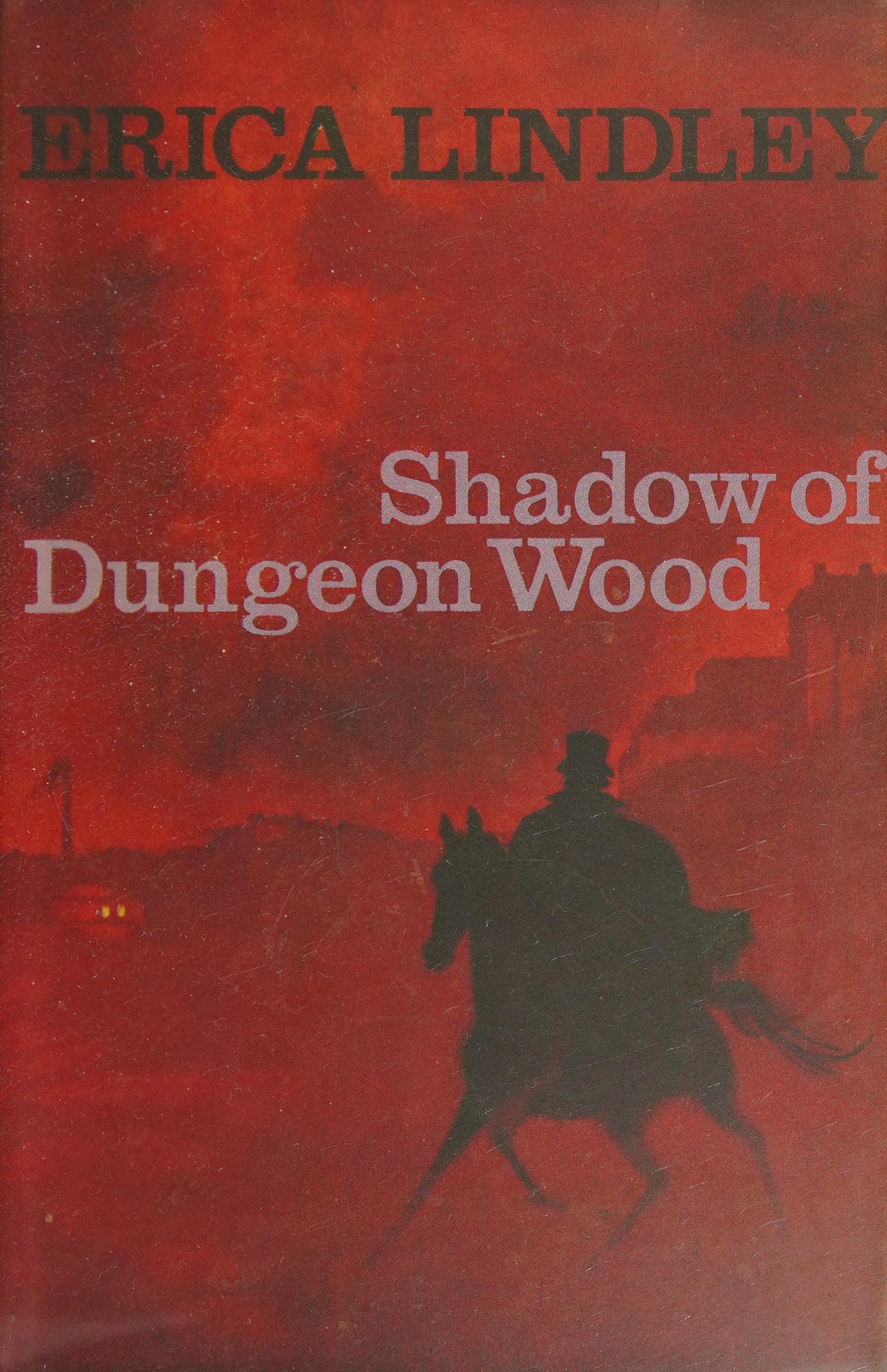 Shadow Of Dungeon Wood