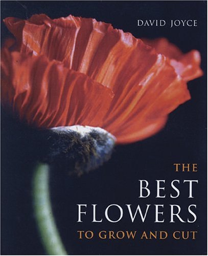 Best Flowers to Grow and Cut