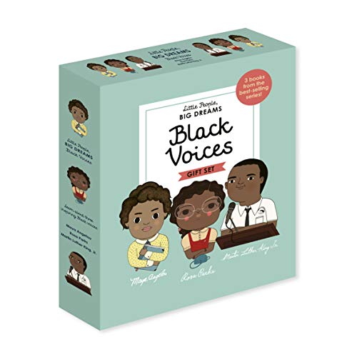 Little People BIG DREAMS Black Voices
