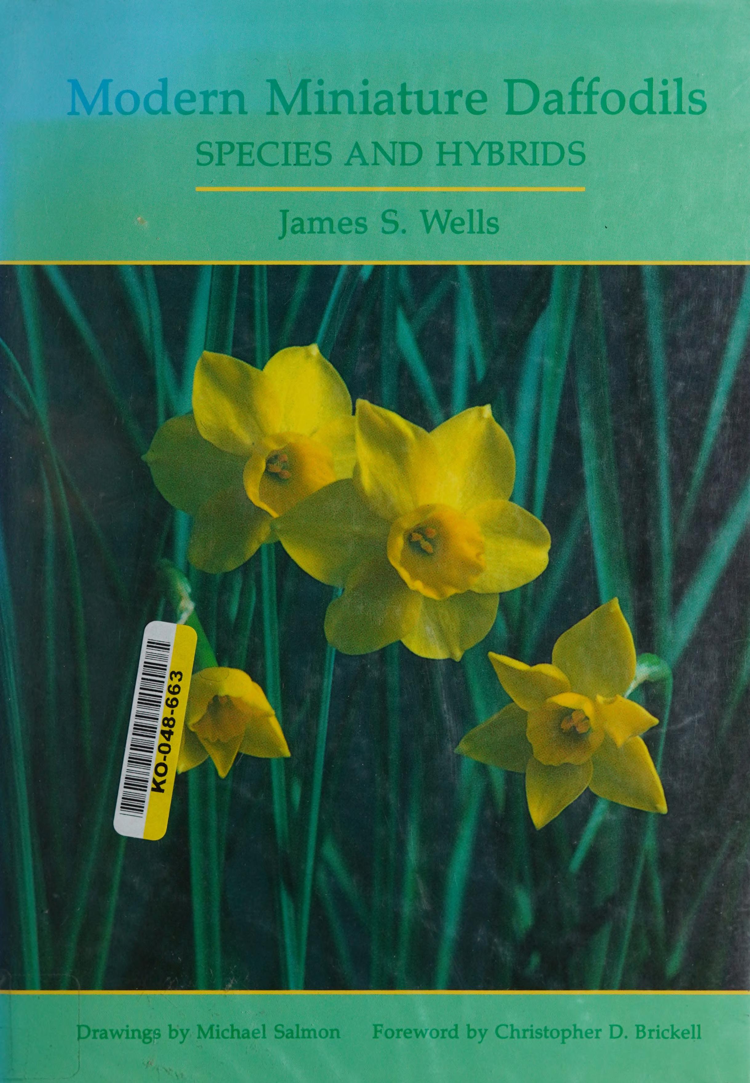 Modern Miniature Daffodils