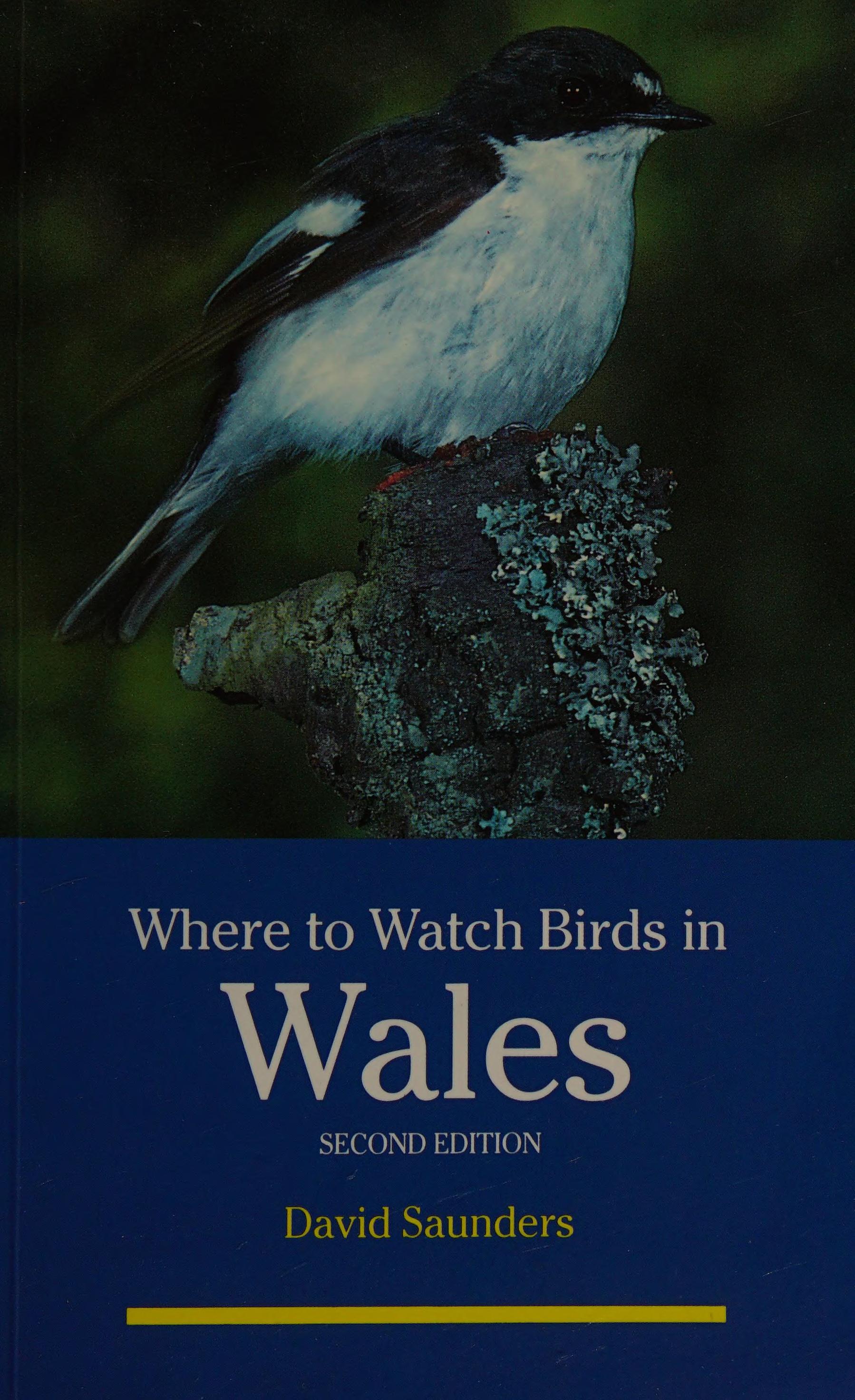 Where to Watch Birds in Wales