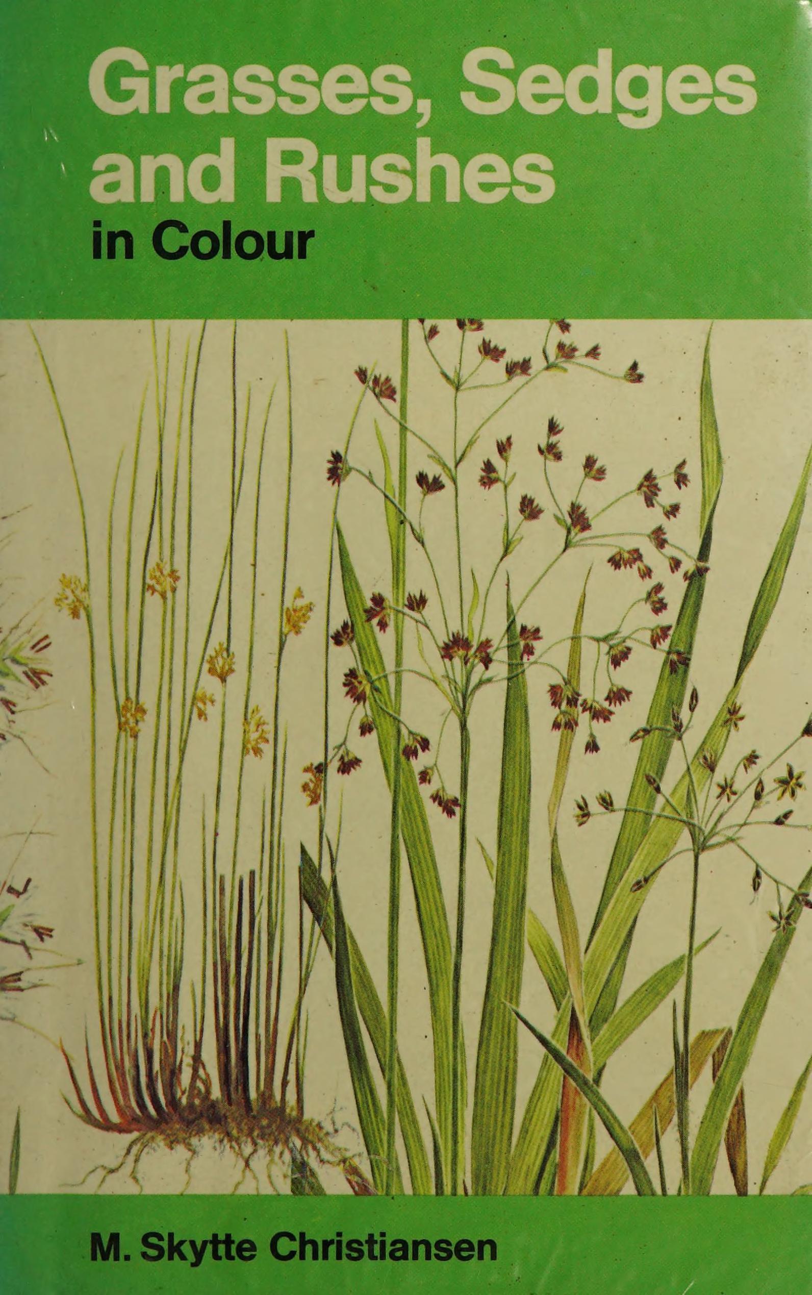 Grasses, Sedges, And Rushes In Colour