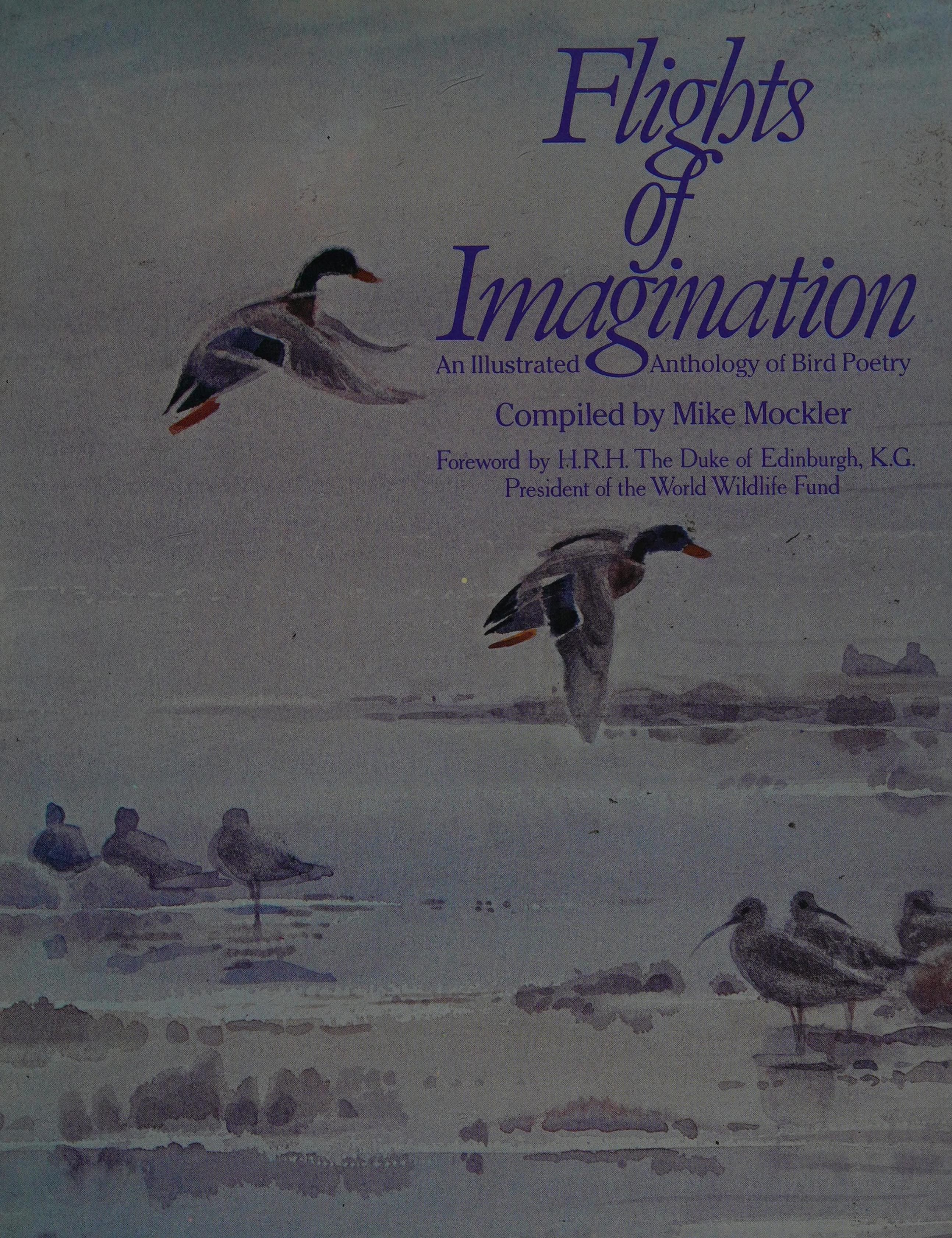 Flights of Imagination