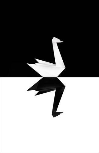 Black Swan by Nassim Nicholas Taleb, ISBN 9780713999952