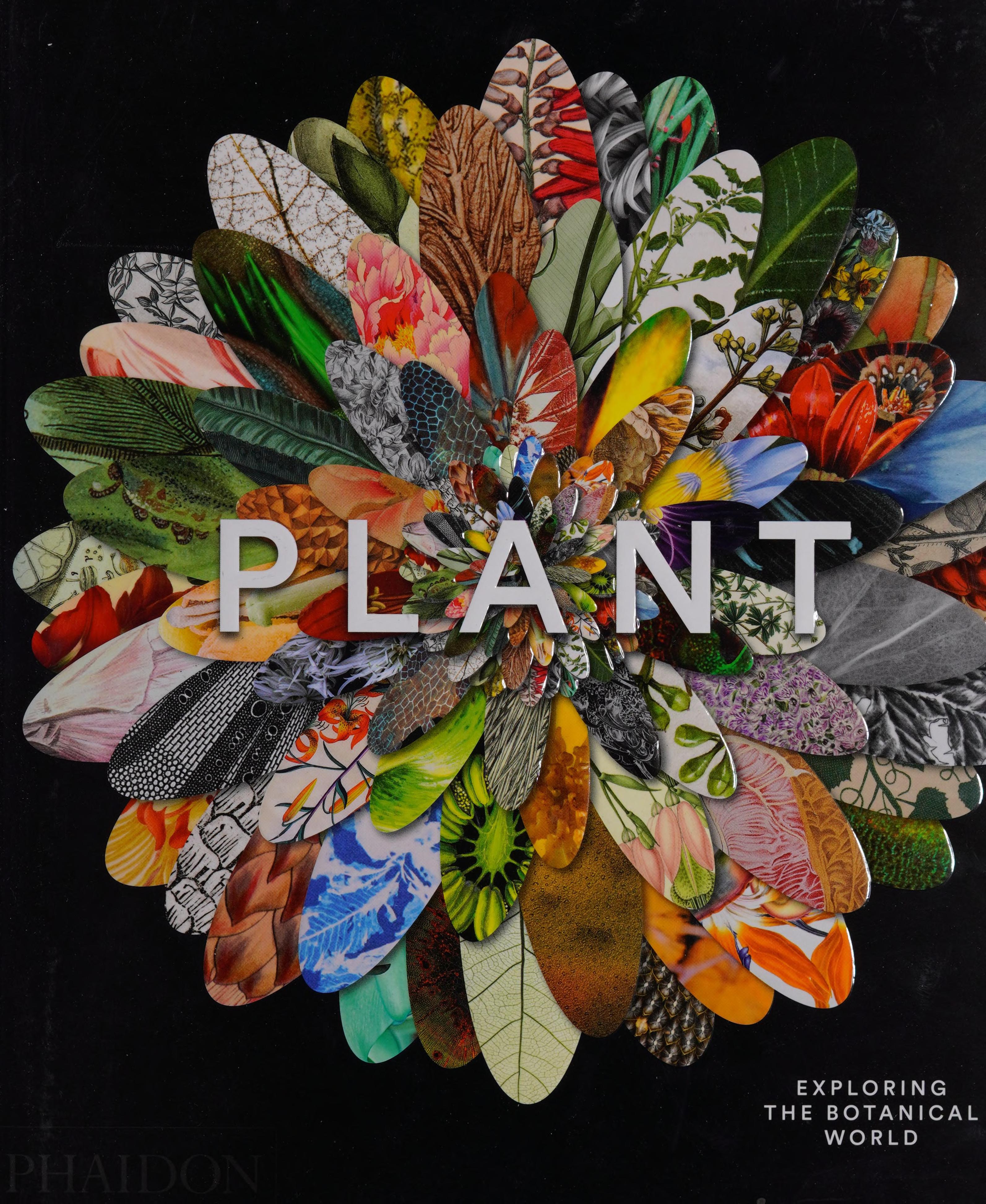 Plant