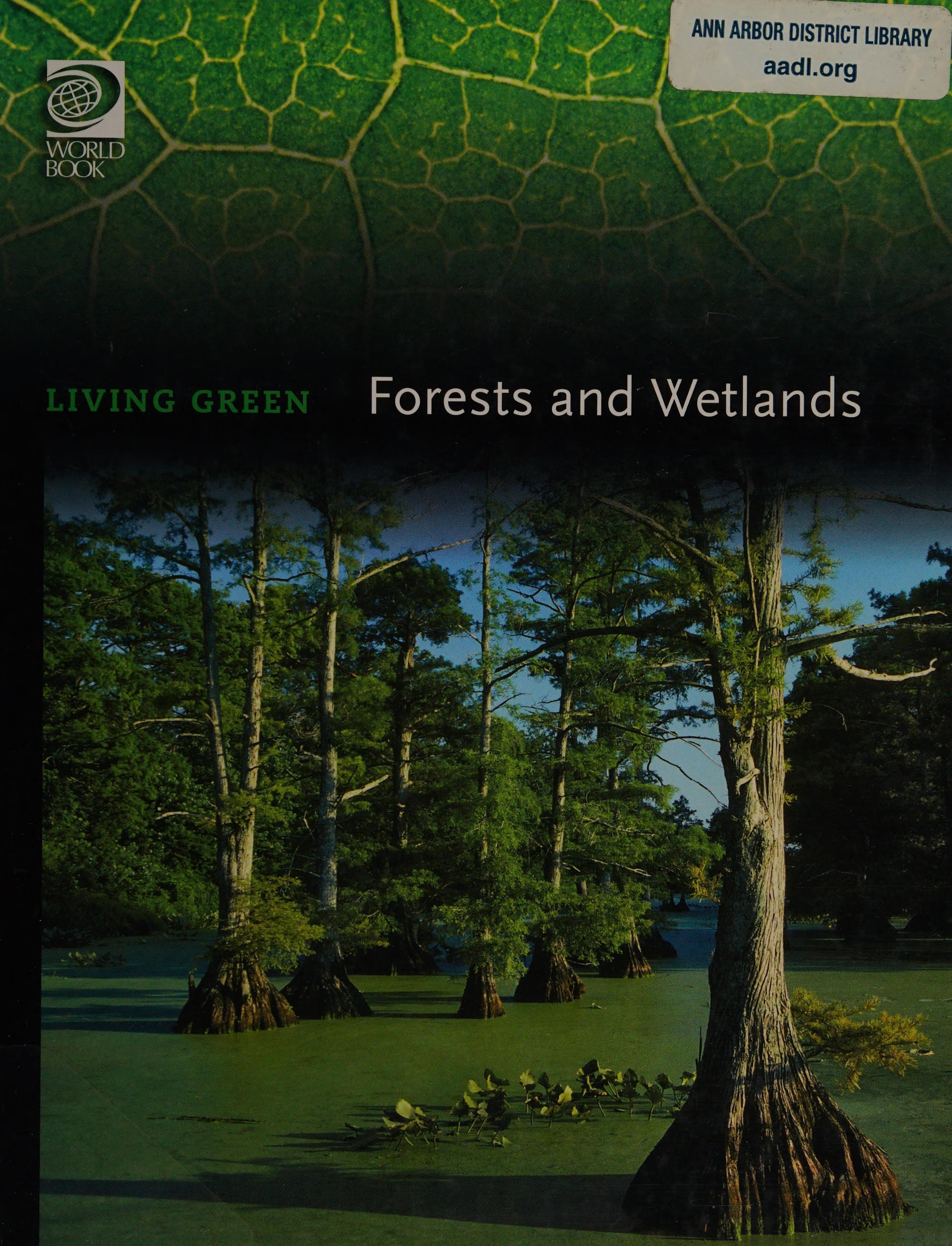 Forests And Wetlands