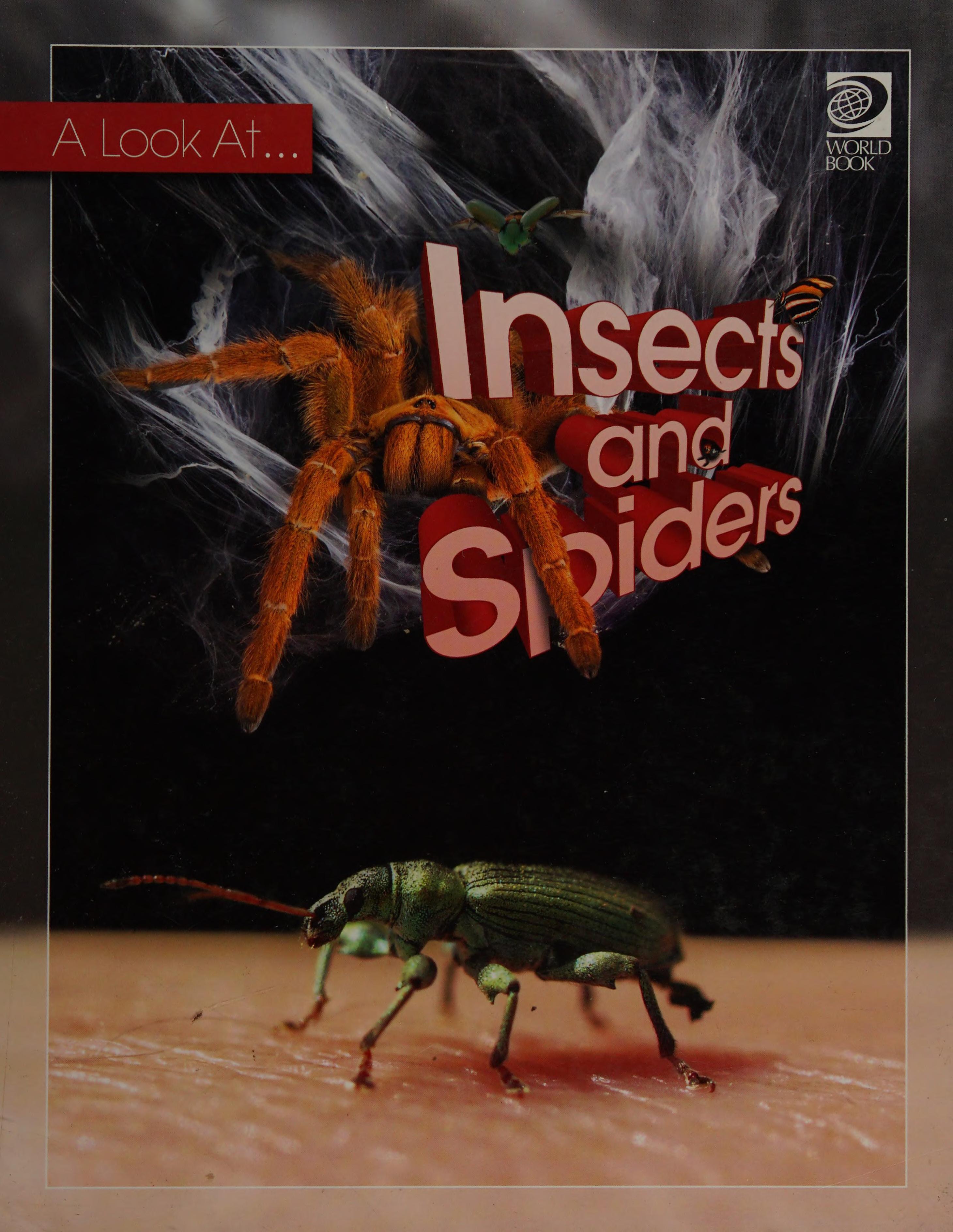 Insects and Spiders