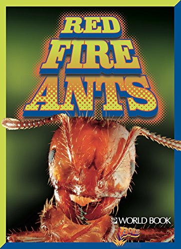 Red Fire Ants