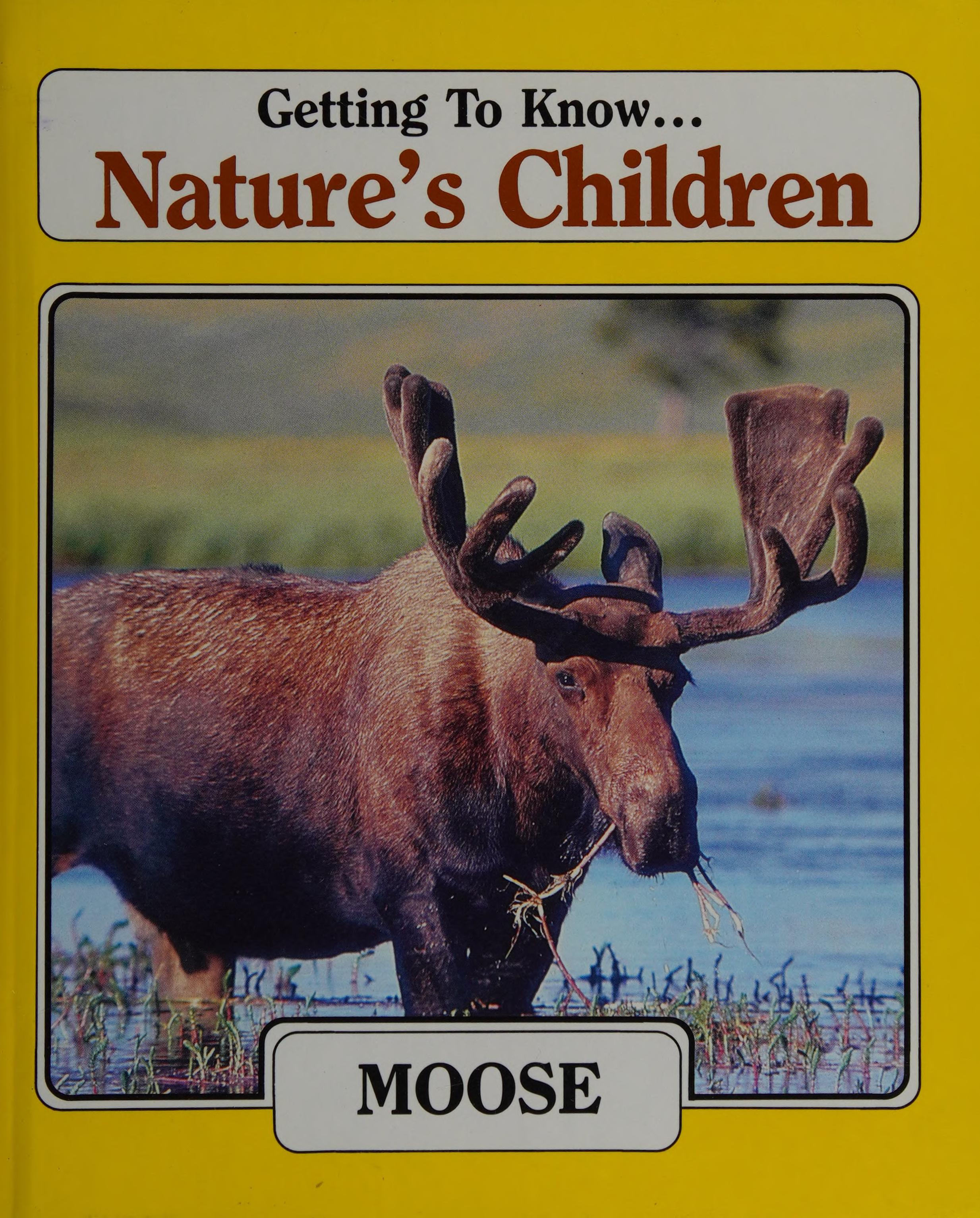 Moose