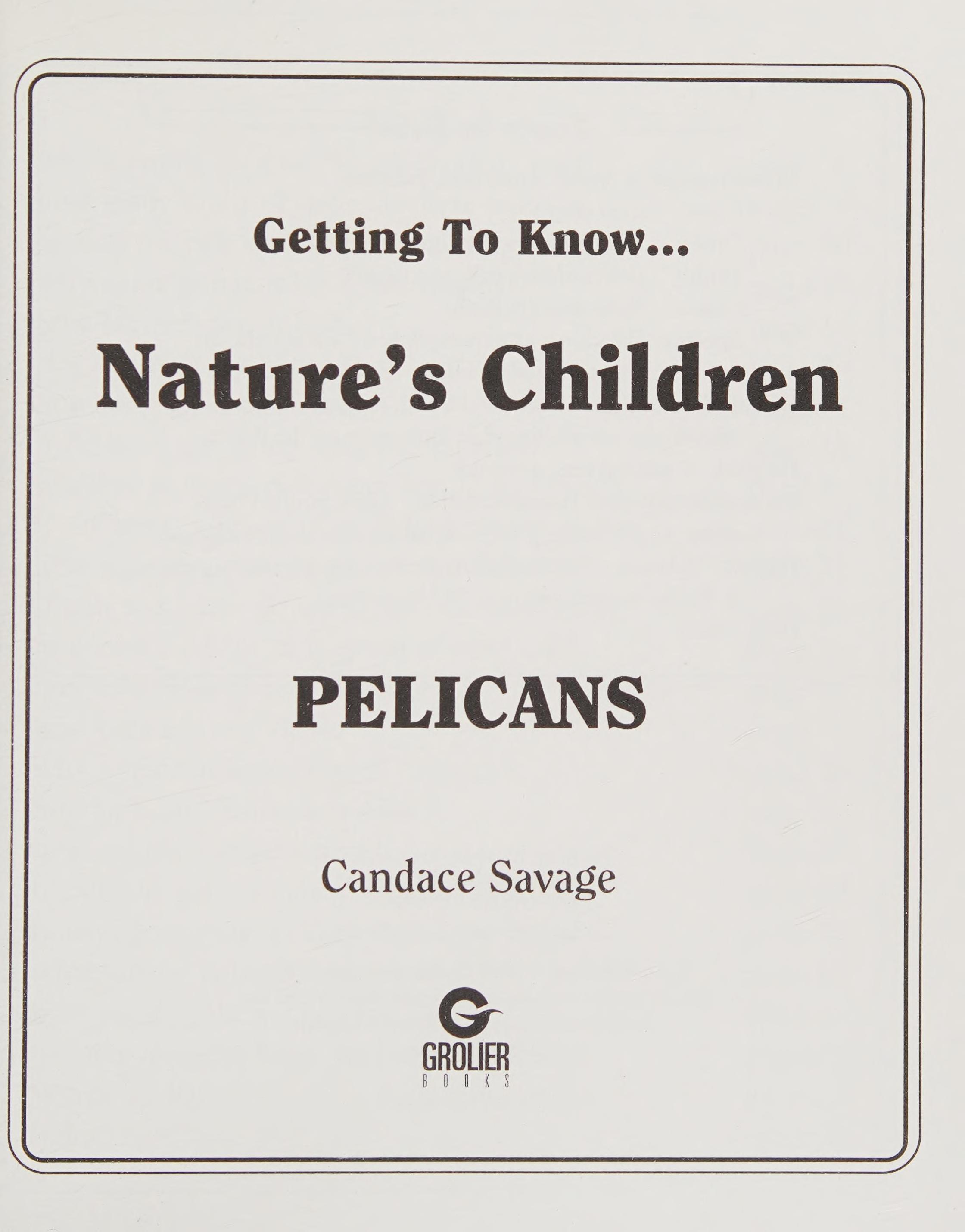 Pelicans