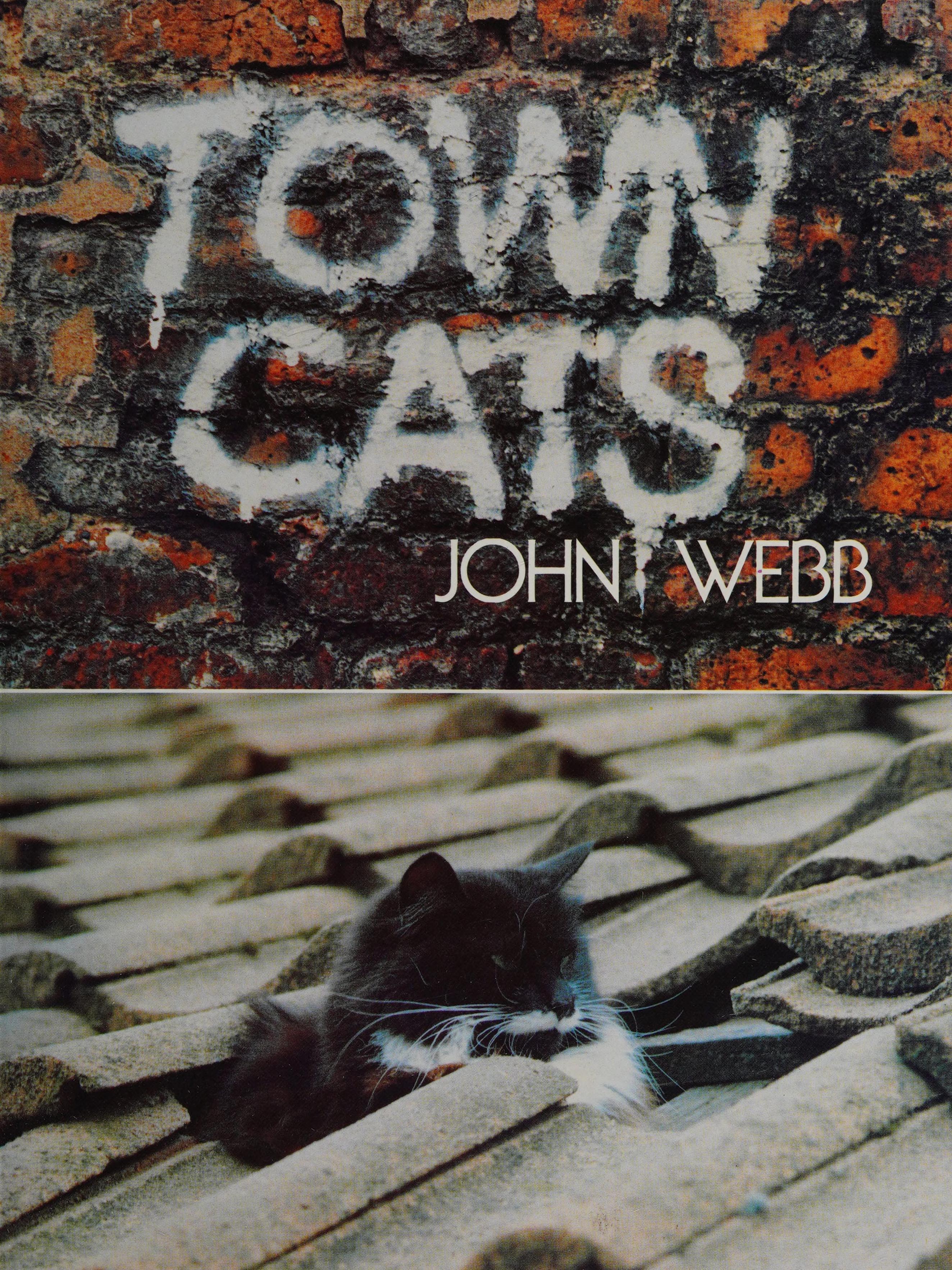 Town Cats