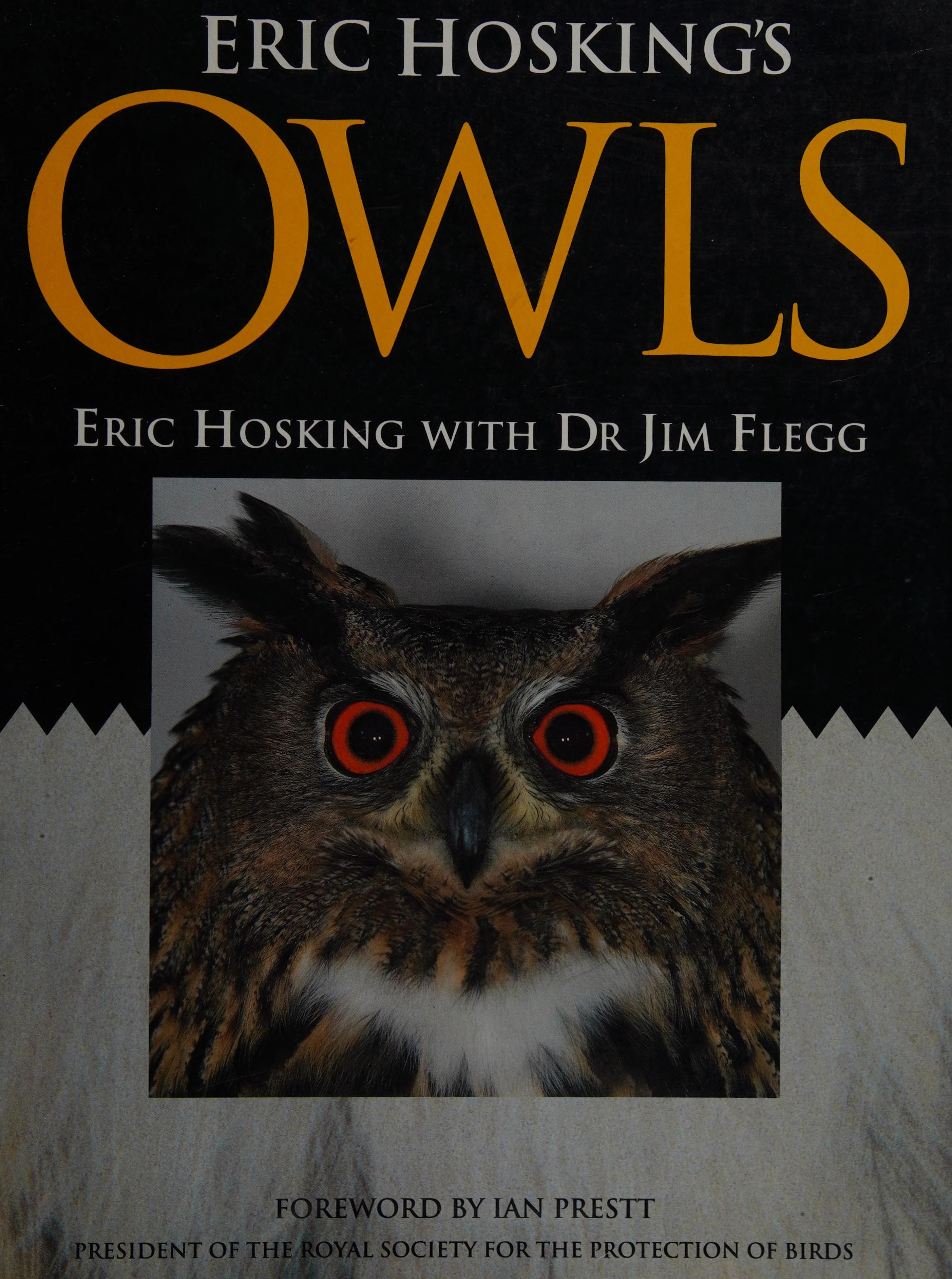 Eric Hosking s Owls Mermaid Books