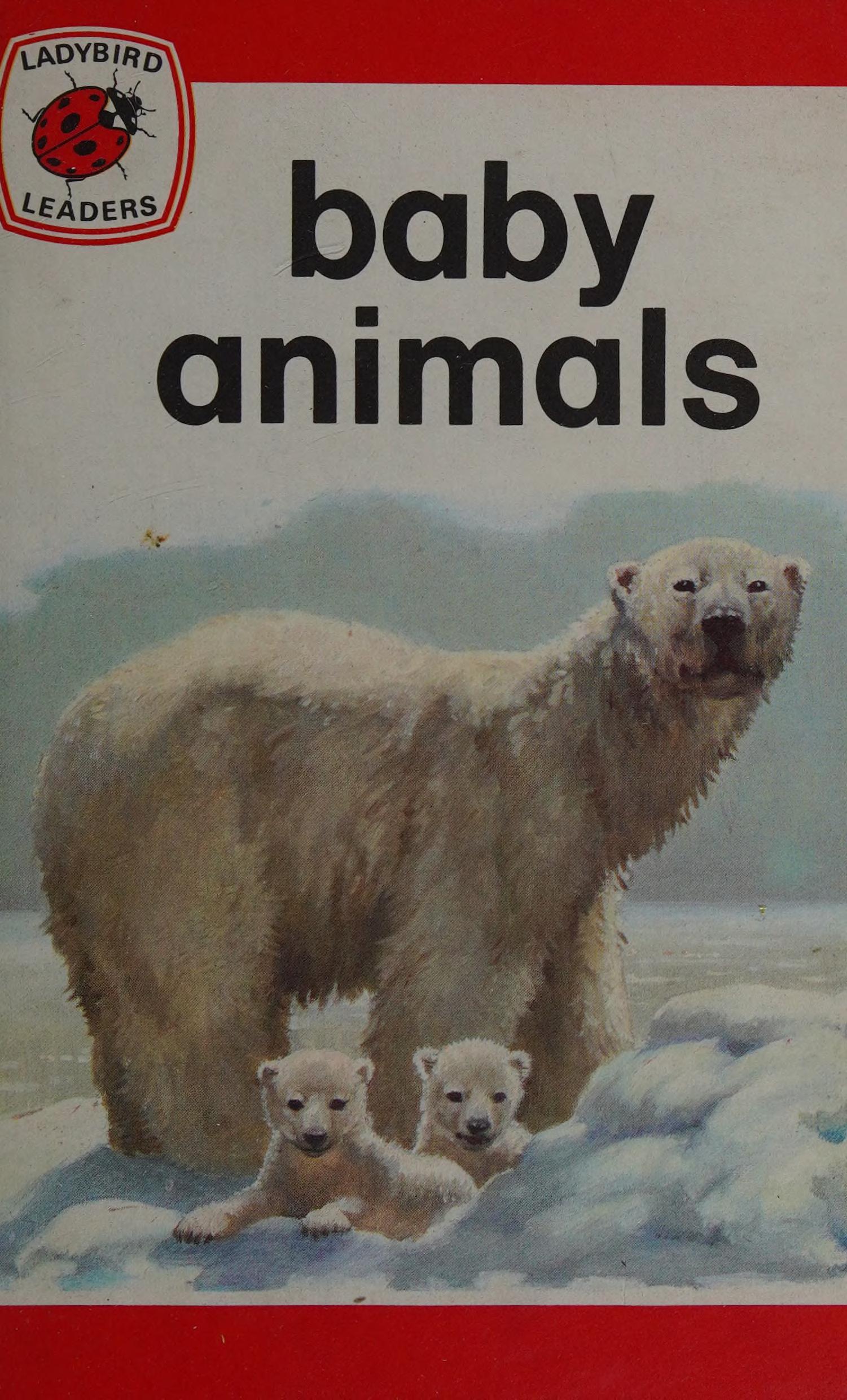 Baby Animals