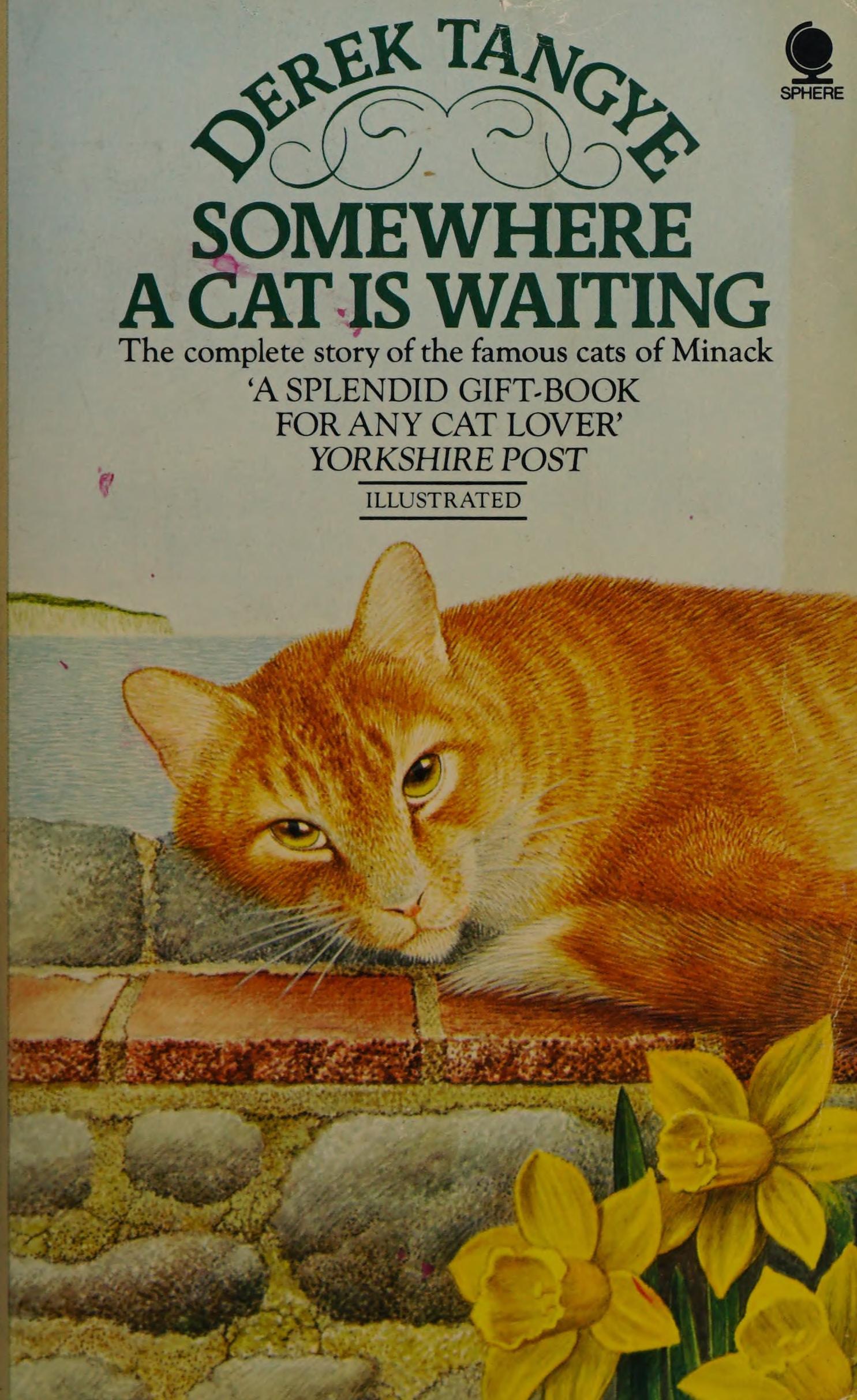 Somewhere A Cat Is Waiting
