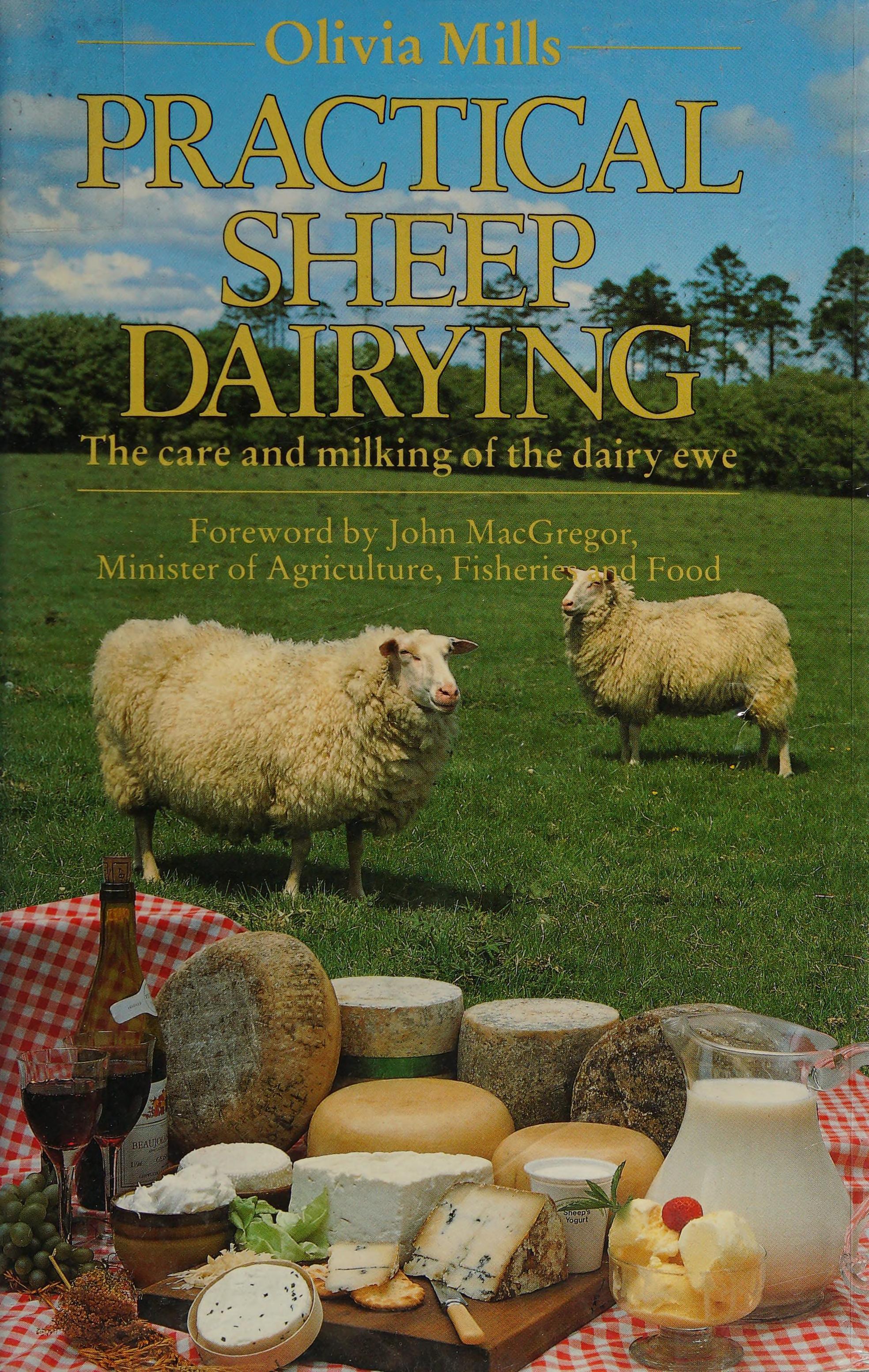 Practical Sheep Dairying: Care And Milking Of The Dairy Ewe