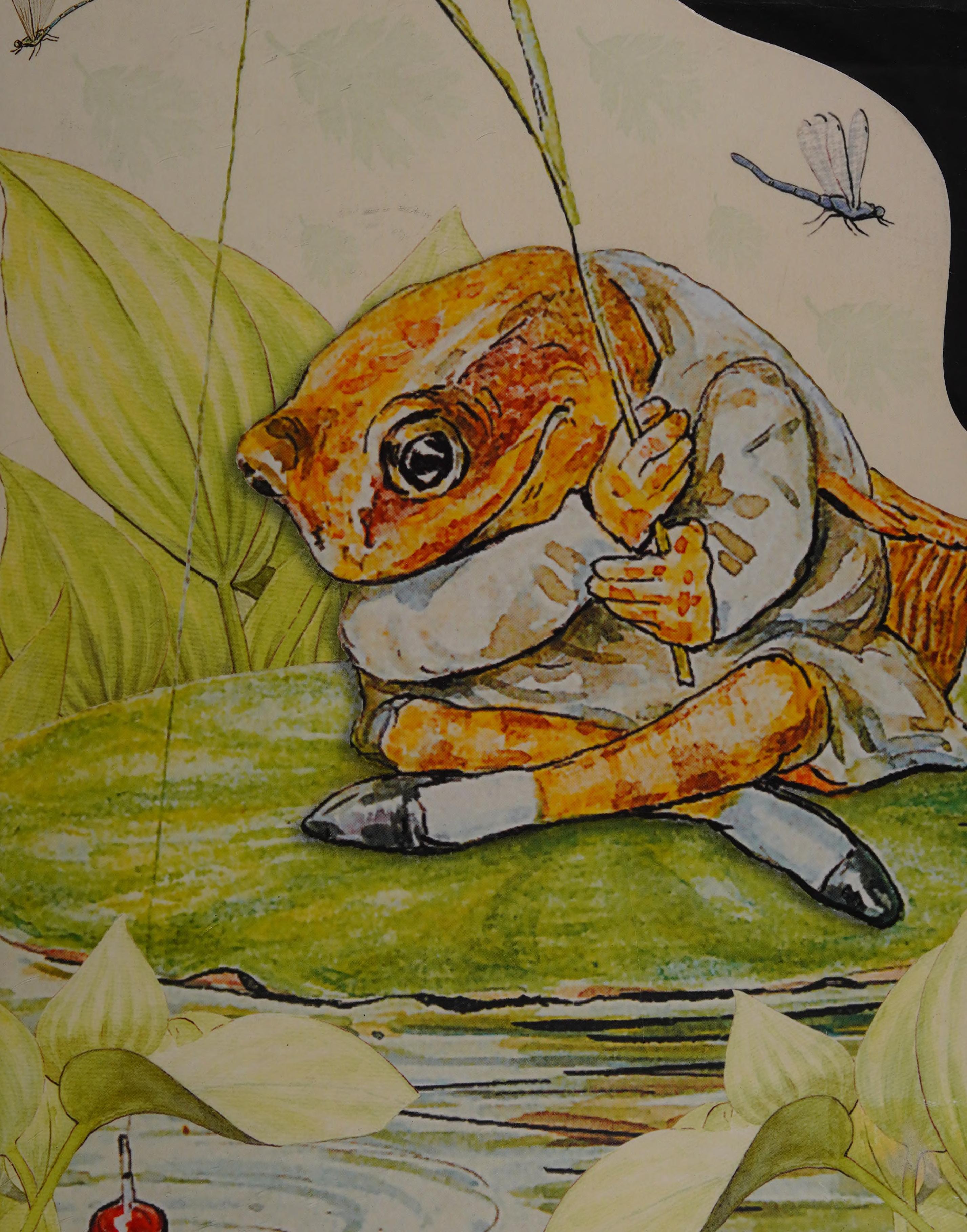 Jeremy Fisher Board Book