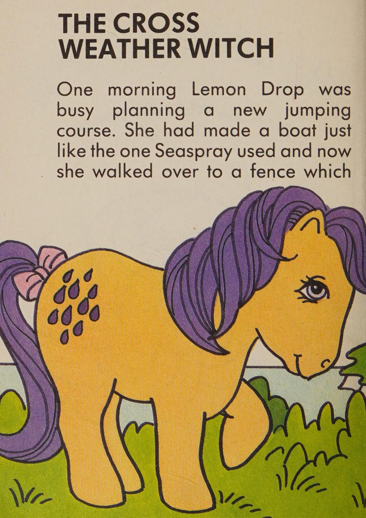 The Cross weather witch My Little Pony Mini world
