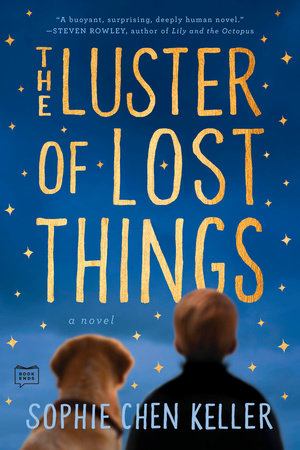 The Luster Of Lost Things