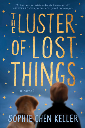The Luster Of Lost Things