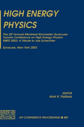 High Energy Physics: The 25th Annual Montreal-Rochester-Syracuse-Toronto Conference On High Energy Physics, Mrst 2003: A Tribute To Joe Schechter