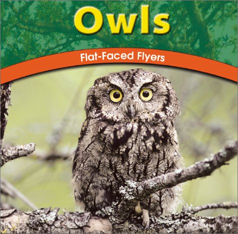 Owls
