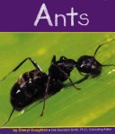 Ants