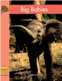 Big Babies