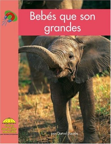 Bebés Que Son Grandes
