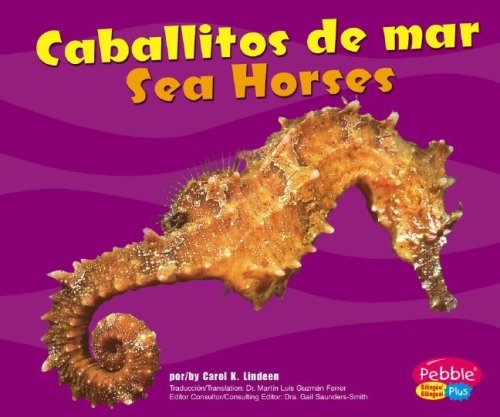 Caballitos de Mar