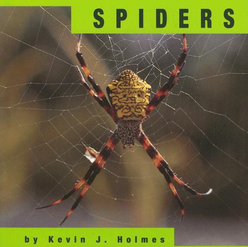 Spiders