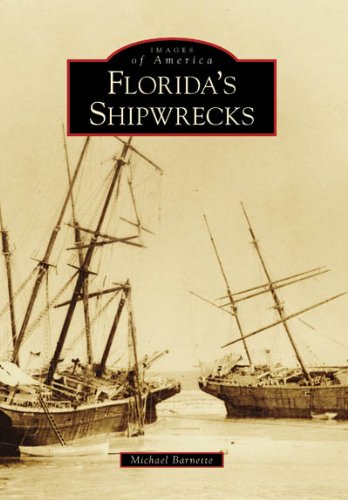 Florida s shipwrecks