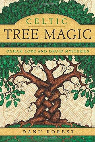 Celtic Tree Magic Ogham Lore and Druid Mysteries