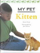 Kitten