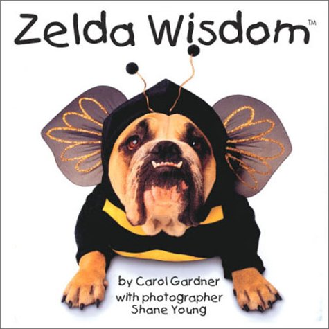 Zelda Wisdom Zelda