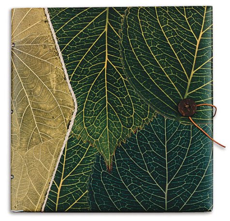 Plaza Journal Forest Floor