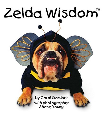 Zelda in a Box Ubox Kits