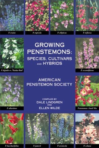 Growing Penstemons