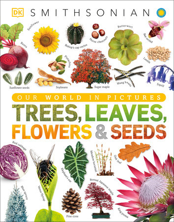 Trees, Leaves, Flowers And Seeds