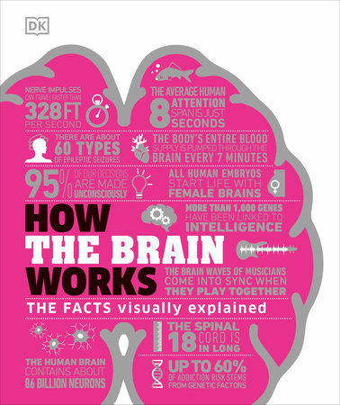 How The Brain Works