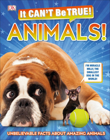 It Can'T Be True! Animals!