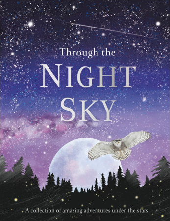 Through The Night Sky