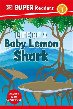 DK Super Readers Level 1 Life Of A Baby Lemon Shark