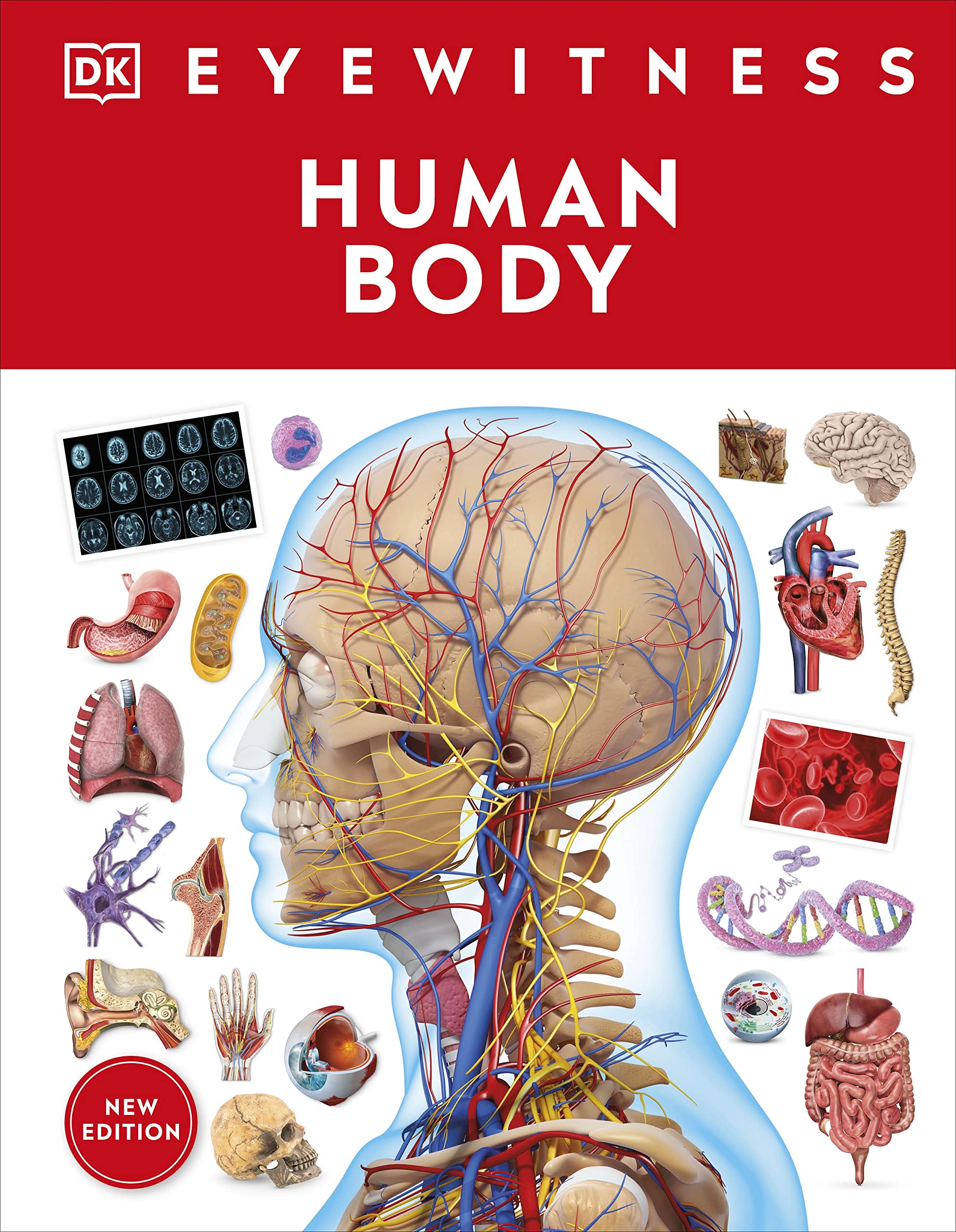 Eyewitness Human Body