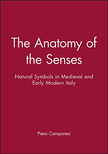 The Anatomy of the Senses