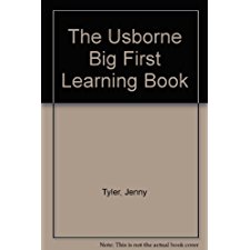 The Usborne Big First Learning Book