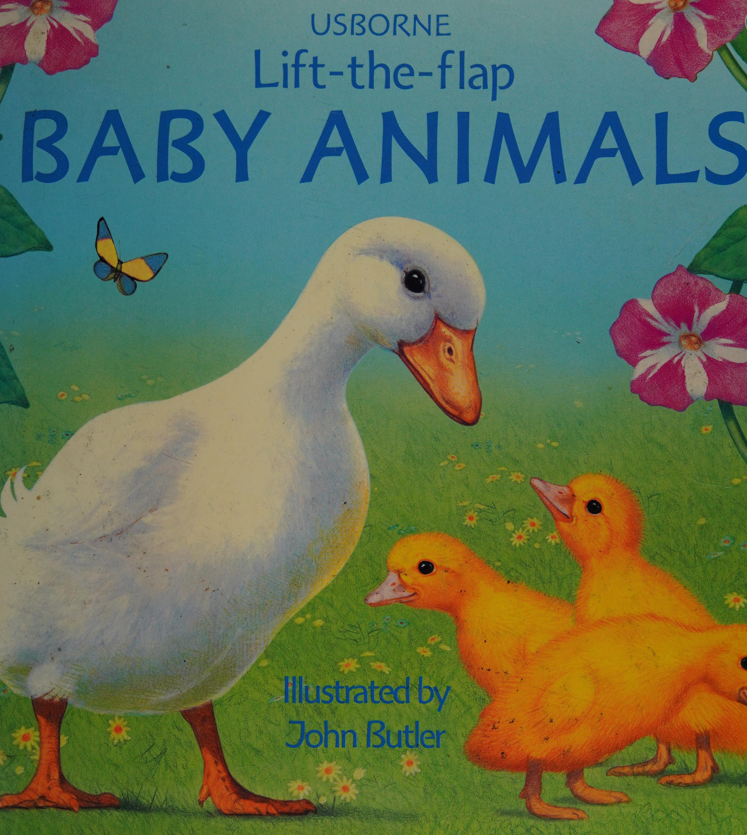 Baby animals