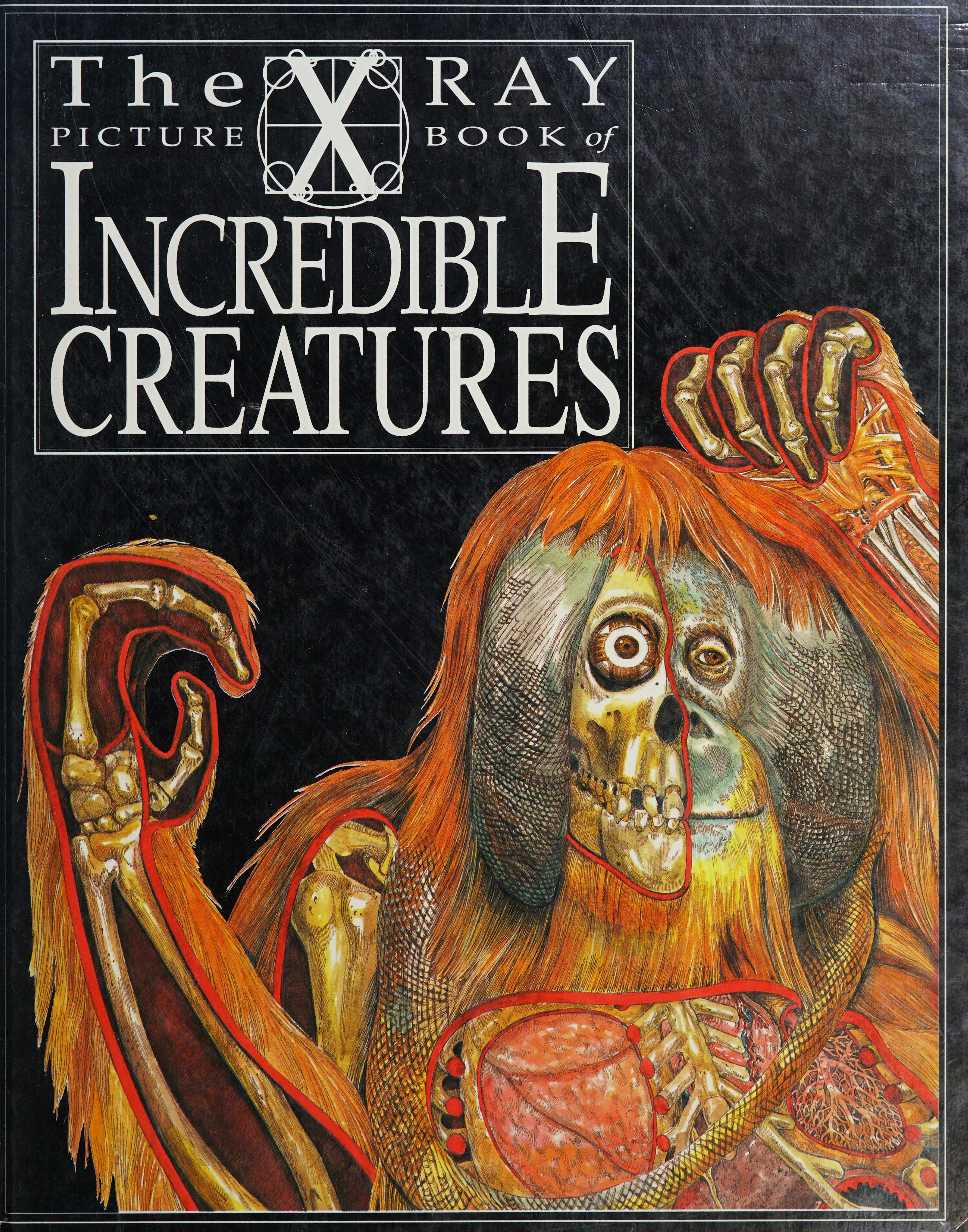 Incredible Creatures
