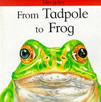 From Tadpole To Frog