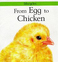 From Egg To Chicken